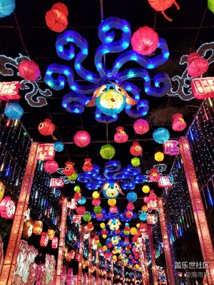 歡歡喜喜過大年+2018深圳歡樂燈會