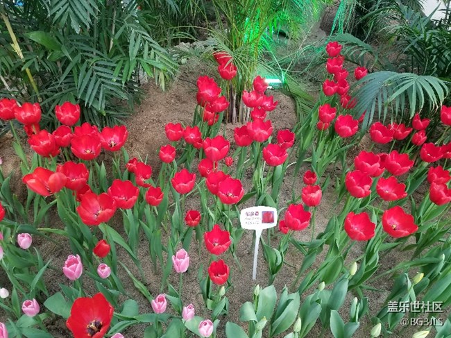 拍照不錯(cuò)非常好666666