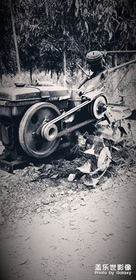 每次過年都想回到過去，一年不像一年