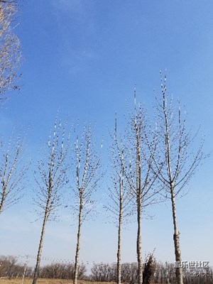 隨便