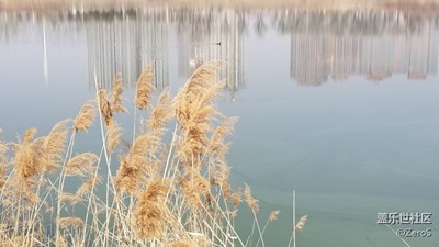 暖了暖了~鴨