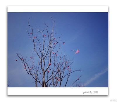 《春風(fēng)》+春光明媚