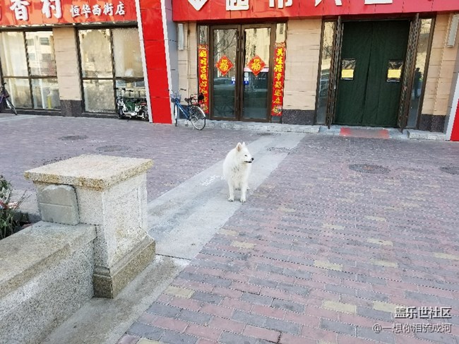 雪橇三傻 還少一個(gè)