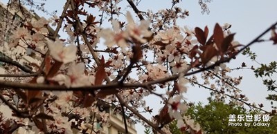 三月，你好！??！