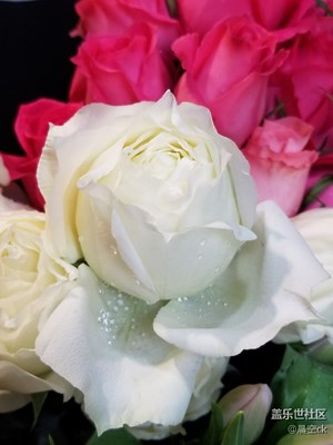 【春風(fēng)】+花