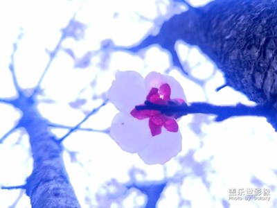 陰天…
