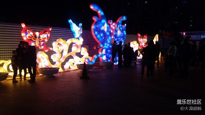 正月十五看花燈