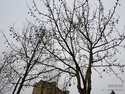 北京的冬天一點(diǎn)拍照的興趣都沒(méi)有