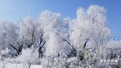 不太會(huì)拍照，只給大家看看樣子！