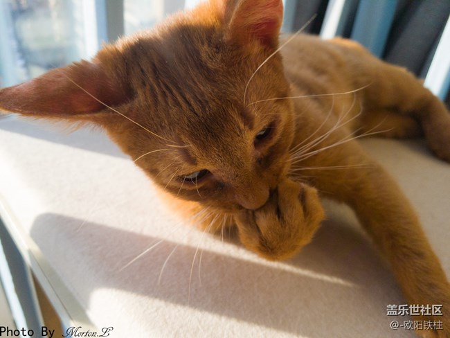 關(guān)于拍照,Galaxy S9+在失望中還摻雜著點驚喜