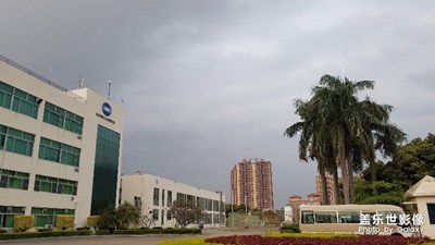 春天的節(jié)拍