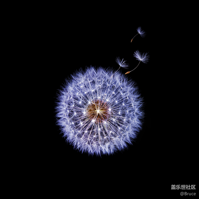 S9的蒲公英壁紙 非常喜歡