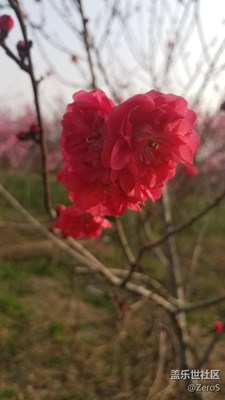 小城開春