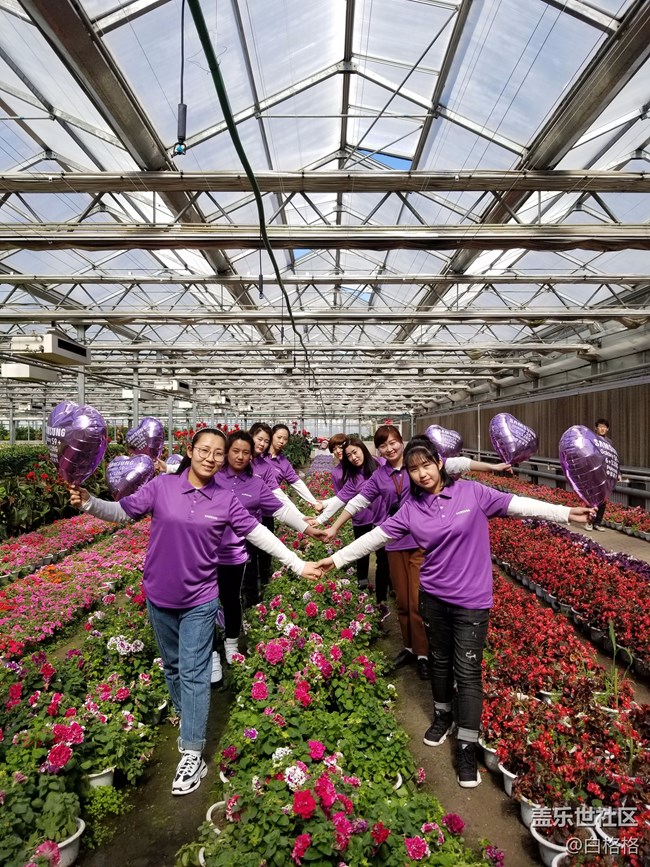 黑龍江分公司佳木斯小區(qū)  【星夢小隊 "9"是強(qiáng)】