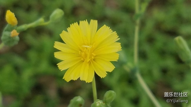 請(qǐng)問三星s7如何投屏到電腦？