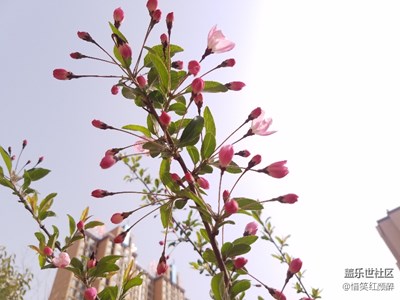 用三星記錄每個精彩畫面