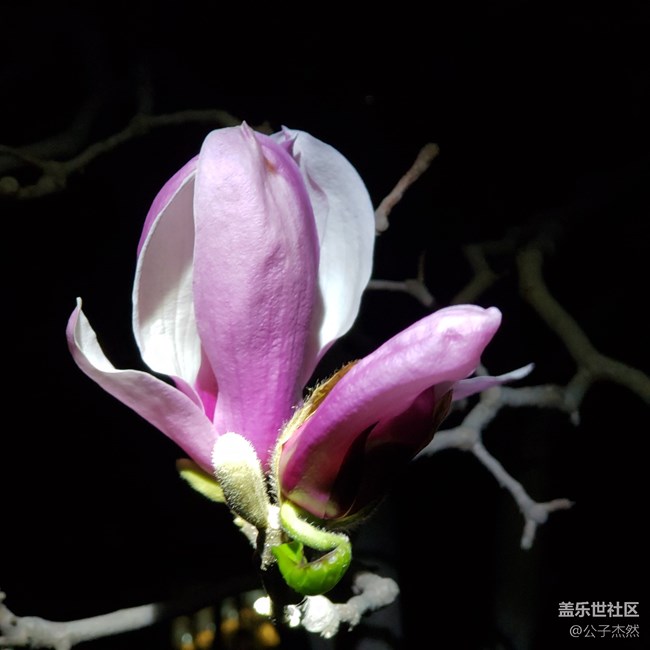 S9+暗光拍攝