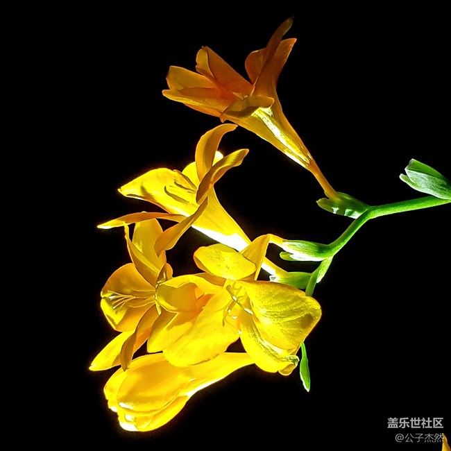 S9+暗光拍攝