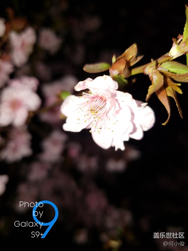 【分享】買了手機(jī)好幾天了，都沒(méi)怎么拍照