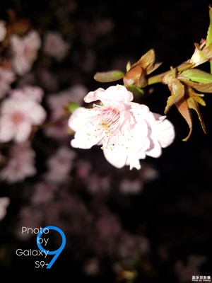 隨拍一些照片