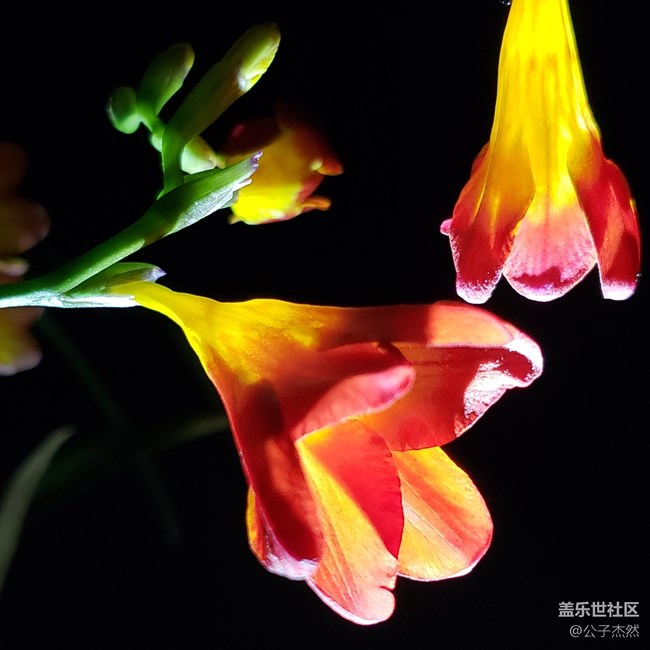 S9+暗光拍攝