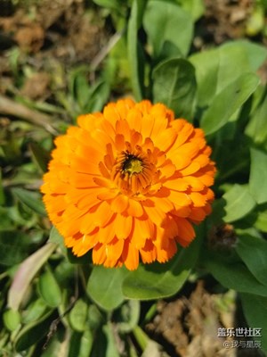 隨手一拍效果很不錯(cuò)噢