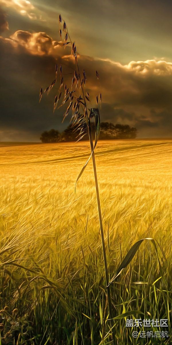 社區(qū)改版不錯，送珍藏壁紙以示祝賀