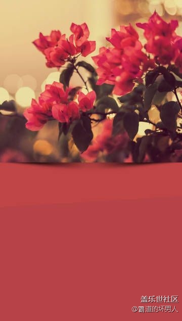 每天上幾張壁紙總有一款是你想要的