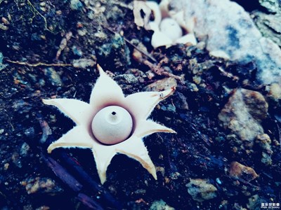 不認(rèn)識(shí)