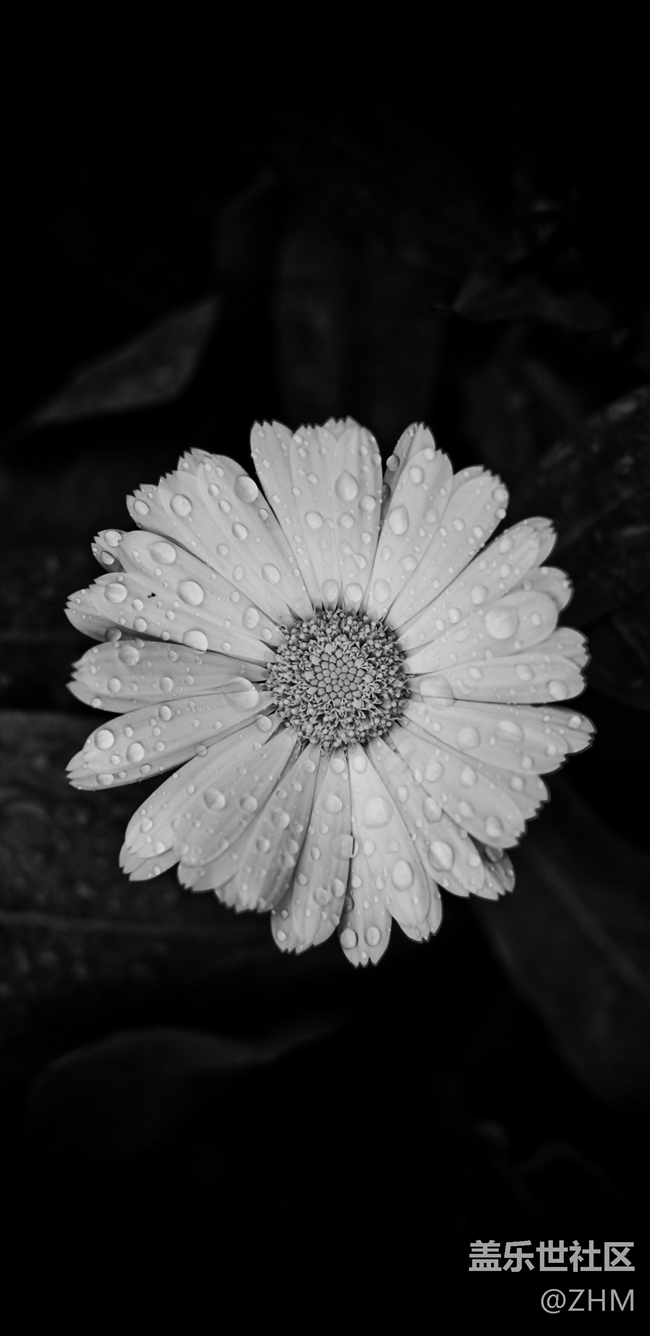 note8/S8/S9專用，超清2K壁紙【2960-1440】