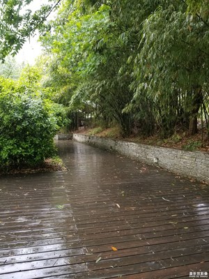 雨后新鮮的感覺(jué)