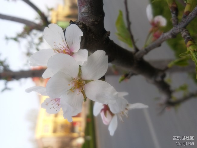 C7在經(jīng)歷最近一次系統(tǒng)更新后，感覺拍照優(yōu)化了