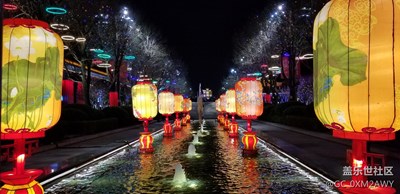 隨手拍