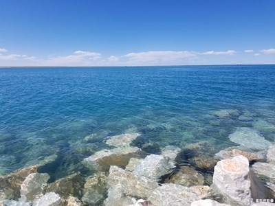 留住記憶的照片+青海湖