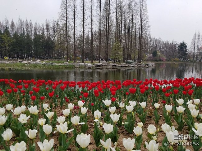 人間最美四月天，莫負春光，不負韶華！小七隨拍