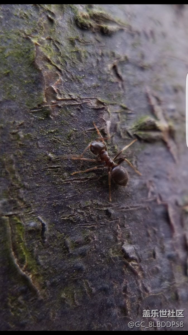 人間最美四月天，莫負春光，不負韶華！小七隨拍