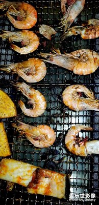 海邊買到幾條蝦