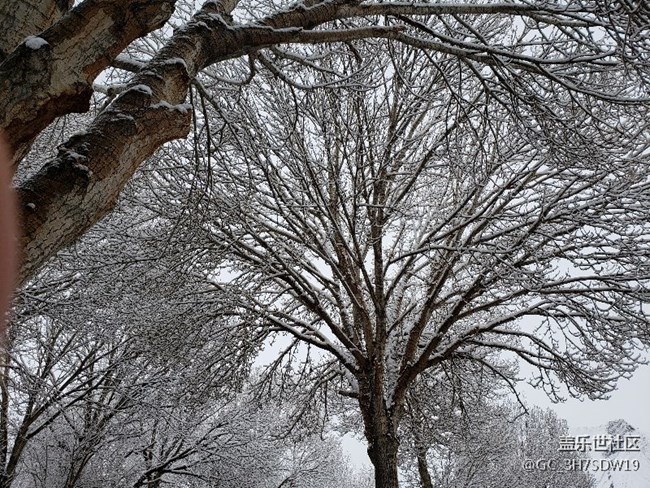 s9+帶你體驗不一樣的冬天