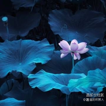壁紙