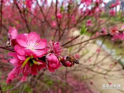 準備換機，清內存時發(fā)現(xiàn)的（下次發(fā)貼估計是Galaxy s9了）