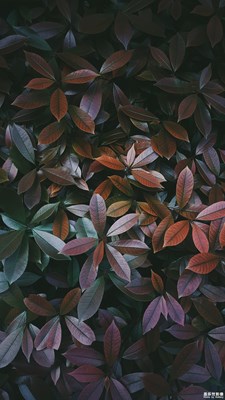 【遇見(jiàn)美好】 一