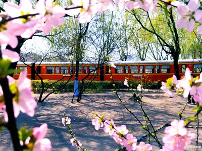 【人間四月天】+來(lái)往春天的列車(chē)