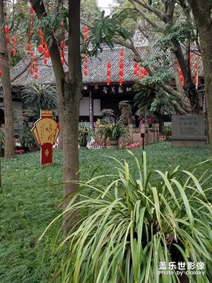 【中國最美瞬間】+杜甫草堂