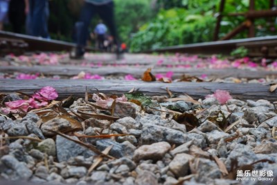 【最美瞬間】出游見(jiàn)聞