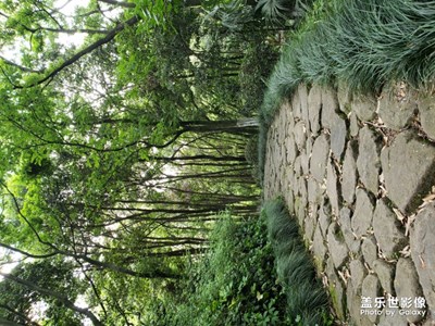 五一去杭州虎山國家公園