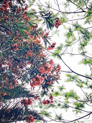 【中國最美瞬間】一些亂拍的圖