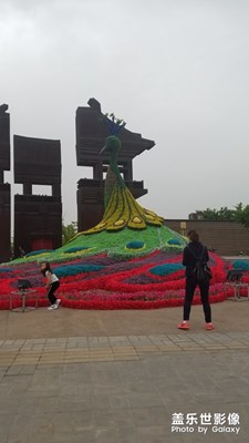 【中國(guó)最美瞬間】+大明宮遺址