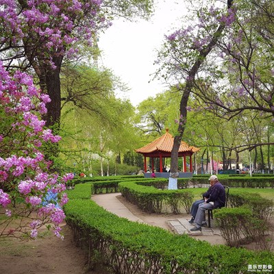 【我的手機在說話】+此時無聲勝有聲。??????