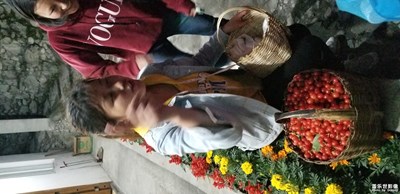 【我的手機(jī)在說話】+雅拉雪山