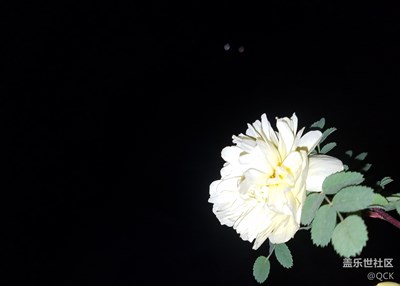 隨拍